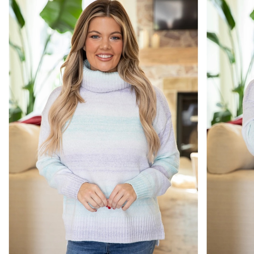 Filly Flair Purple & Teal Ombre Sweater Size Small